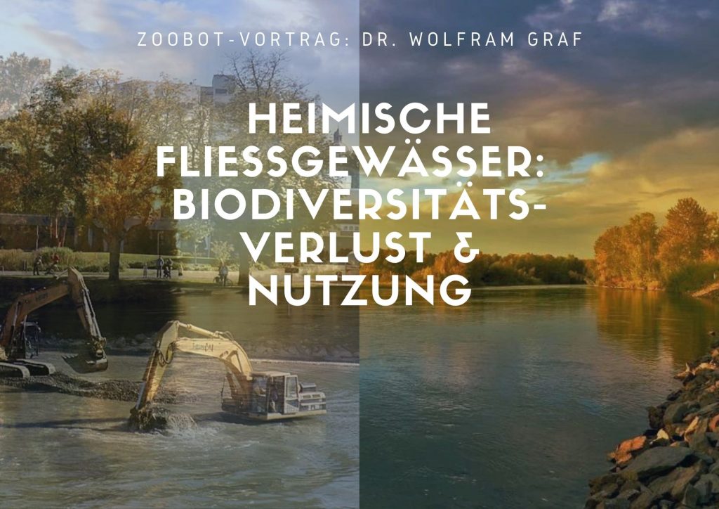 Hybrid-Vortrag: Heimische Fließgewässer: Biodiversitätsverlust & Nutzung