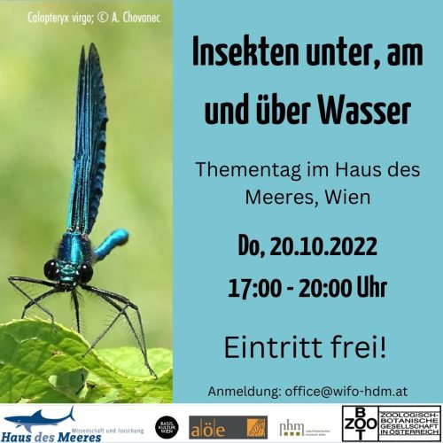 Thementag “Insekten unter, am und über Wasser”