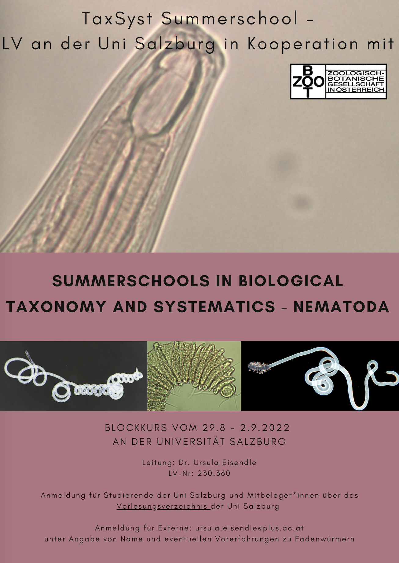 TaxSyst Summerschool – Nematoden II