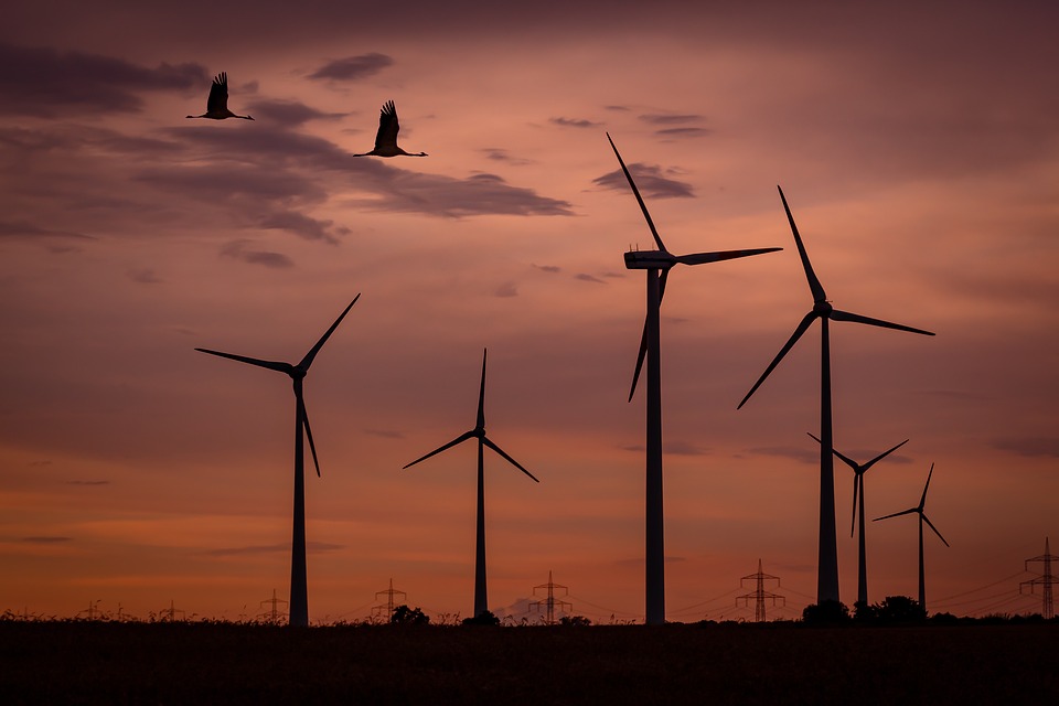 Hybrid-Vortrag: Windkraftanlagen – Bedrohung für Vögel?