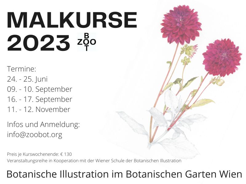 Plakat_Botanische_Illustration_2023-2