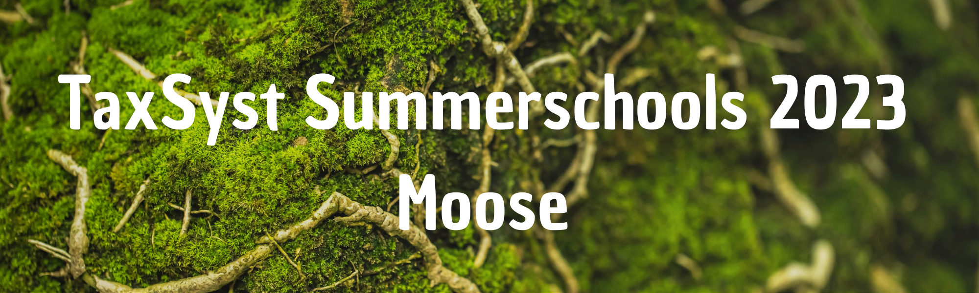 TaxSyst Summerschool: Intensivkurs Moose – Artenkenntnis, Systematik, Biologie
