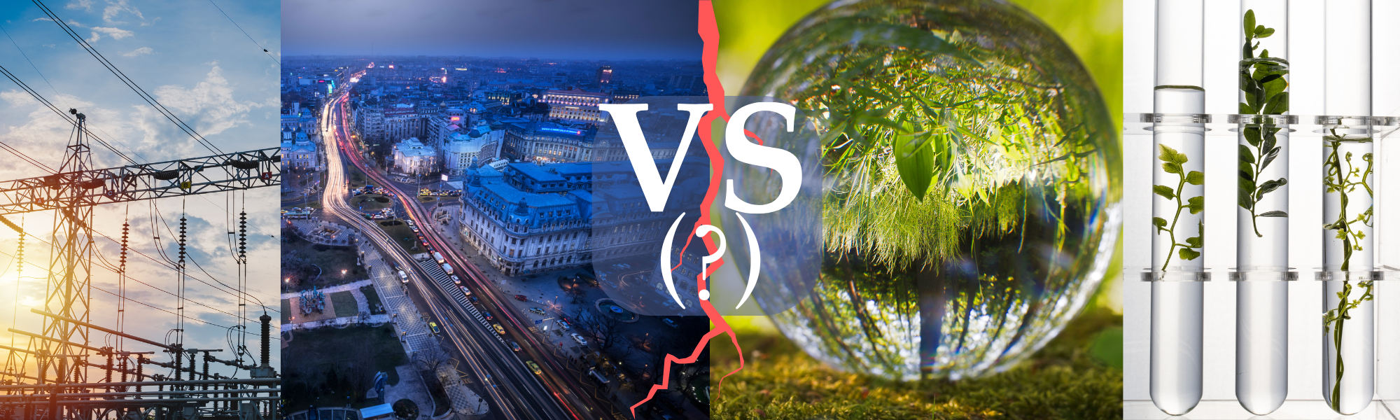 Hybrid-Vortragsreihe: Wissenschaft und Naturschutz – im Spannungsfeld zwischen Grundlagenforschung und Gesellschaft