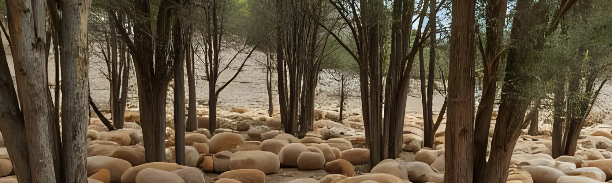 Hybrid-Vortrag: „Die Schwammstadt für Bäume als derzeit wirksamste Maßnahme im anthropogenen Klimawandel für uns Menschen“