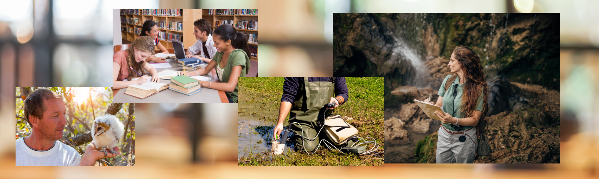Vortrag „Die Zoologisch-Botanische Gesellschaft in Österreich und ihre Relevanz für Studierende der Biologie“