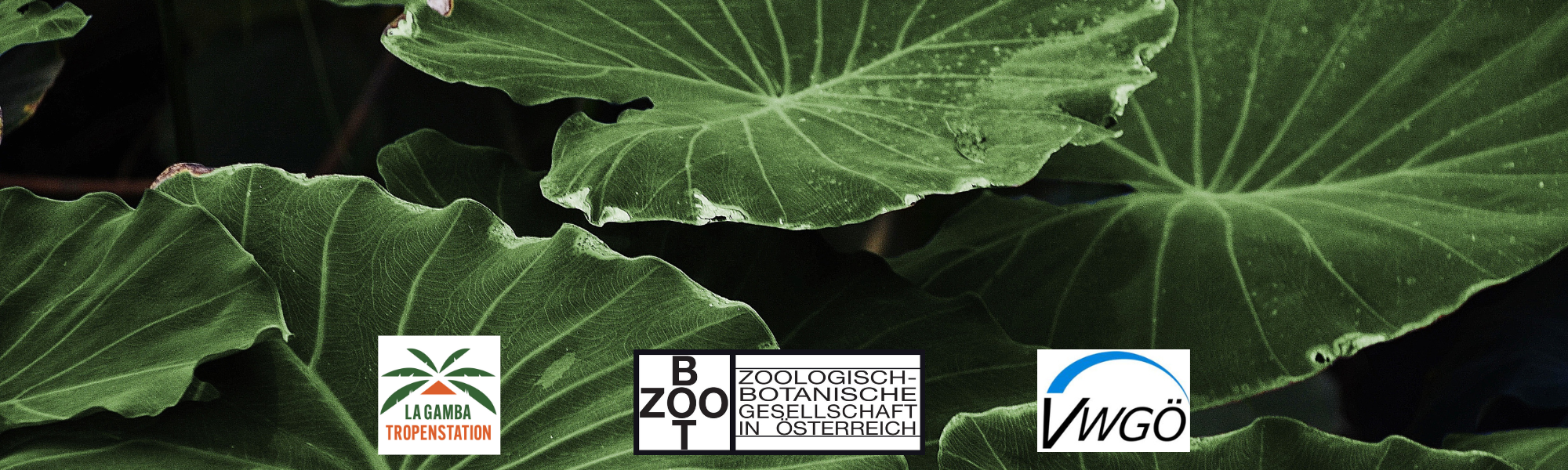 8. Workshop Österreichische Tropenforschung – Save the Date!