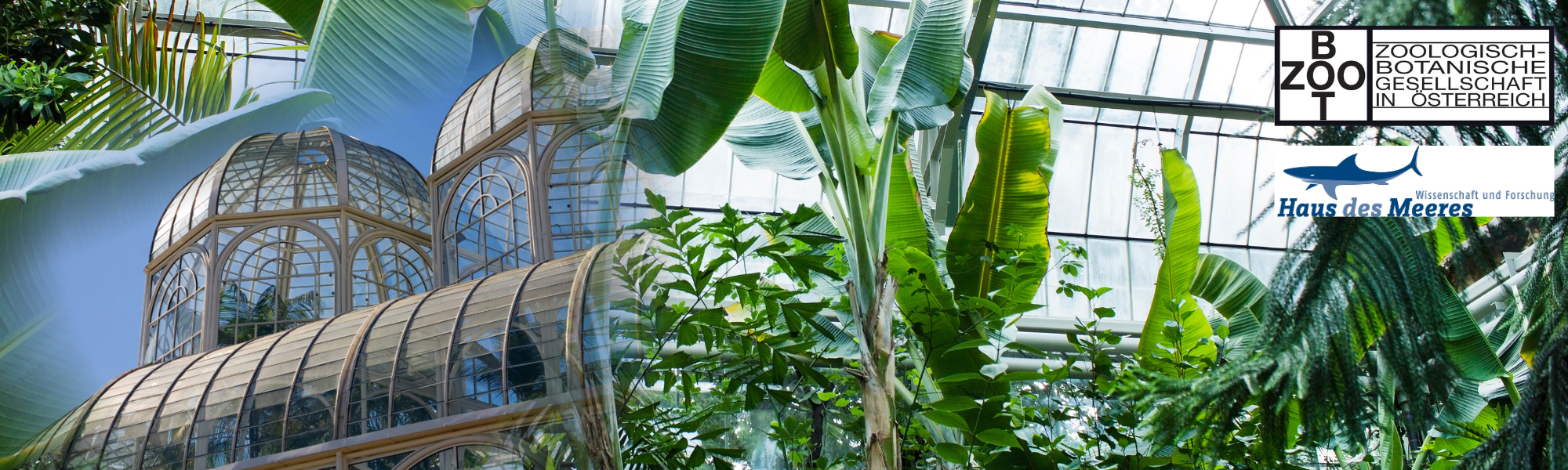 Botanische Gärten – Vergangenheit, Gegenwart und Zukunft (Vortrag im Haus des Meeres)