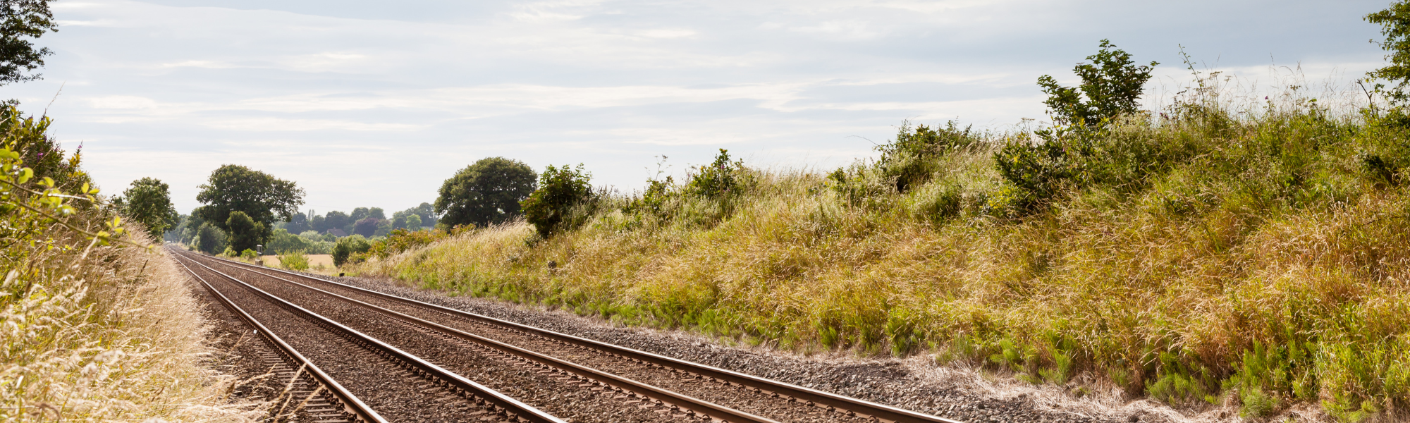Hybrid-Vortrag: „Ökologie auf Schiene?! – Bahnökologie als neues Fachgebiet mit großer Zukunft!“