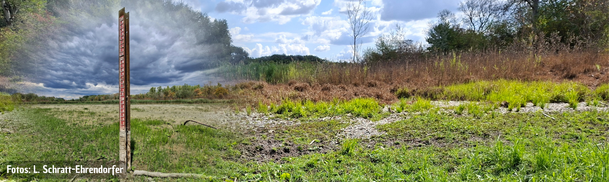 Hybrid-Vortrag: Die Lobau – a schene grüne Leich?